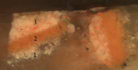 Figura III.2.9. Microfotografía obtenida al microscopio óptico con luz reflejada. Muestra: E45Q4 Aumentos: 200X Descripción: Rojo del manto. ESTRATIGRAFÍA (Ver figura III.2.9 y figura III.2.10 de abajo hacia arriba): 1) Capa preparatoria de color blanquecina con granos marrones.
