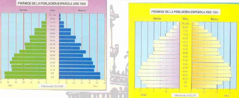 7. En la figura siguiente se representan las pirámides de edad de la población española correspondientes a 1900 y a 1991.