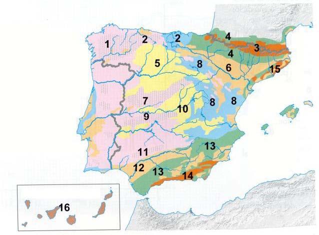 II. PRÁCTICAS Relieve y Geomorfología 1. El mapa representa las unidades morfoestructurales de España.