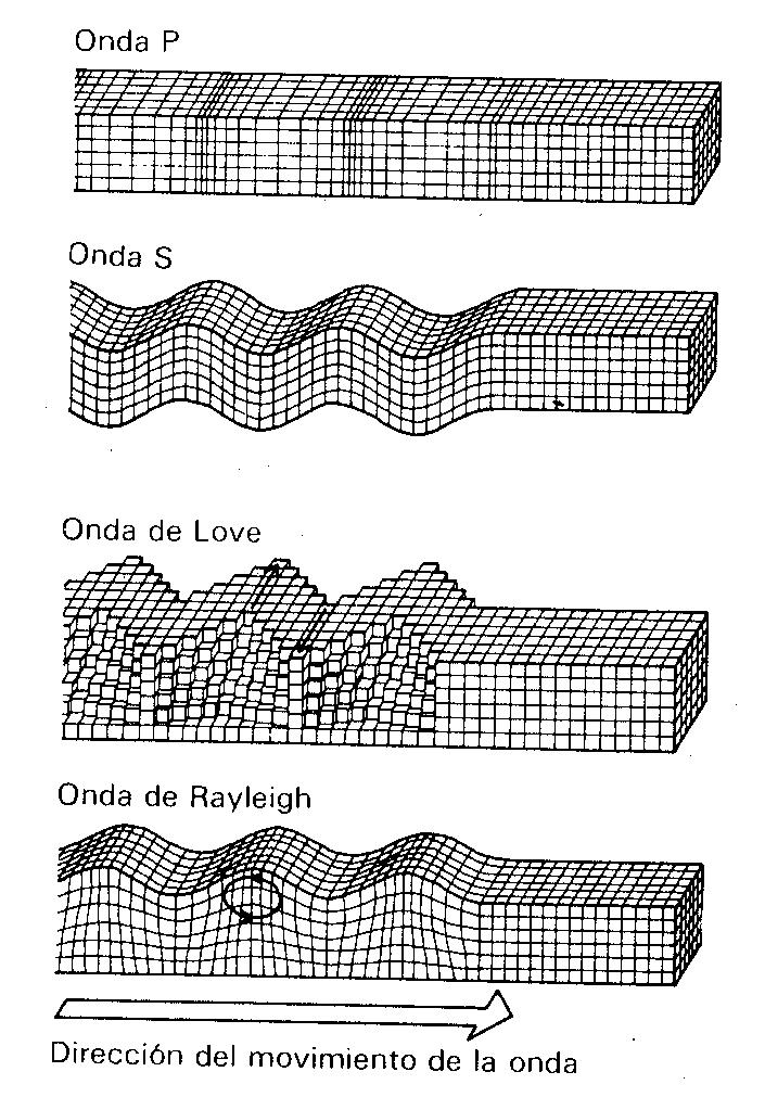 SISMOLOGÍA Ondas sísmicas Tipos de ondas sísmicas Primaria, de compresión, 8 km/s ( onda de sonido, o en agua )