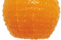 El deshuesado y el corte de extremos se realizará manualmente en un segundo paso. La peladora ORKI descorazona, corta extremos y pela en forma totalmente automática naranjas, pomelos y kiwis.