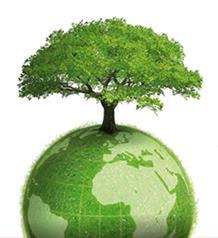 ESTRATEGIA NACIONAL DE CAMBIO CLIMÁTICO Principios rectores de la Estrategia Sustentabilidad en el