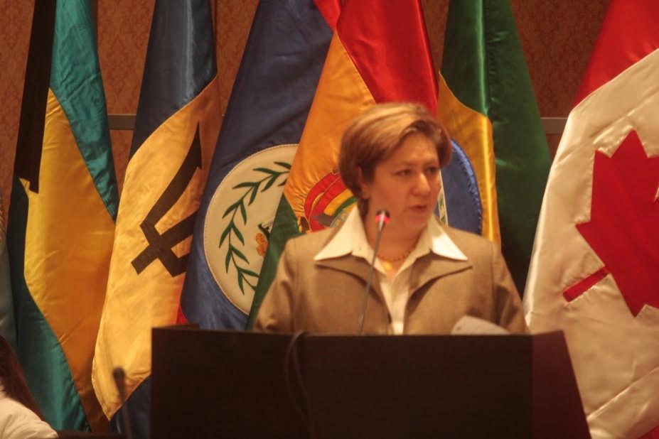 Presentación de informes Informe Anual del IIN a la 40ª Asamblea General de la OEA.