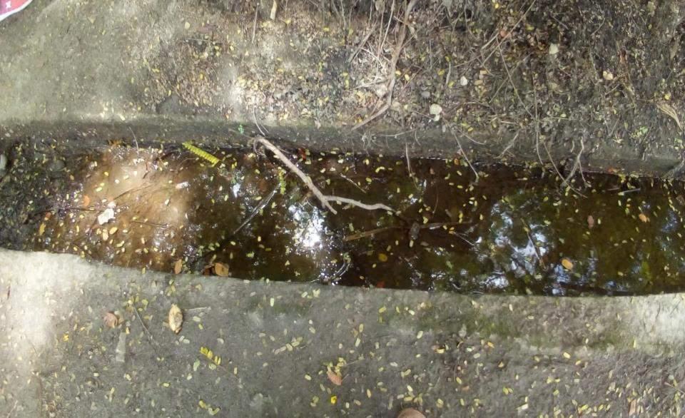 Aguas estancadas en los canales, en zona endémica para infecciones