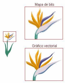 Gráficos Vectoriales: Las imágenes vectoriales, también llamadas imágenes orientadas al objeto o imágenes de dibujo, se definen matemáticamente como una serie de puntos unidos por líneas.