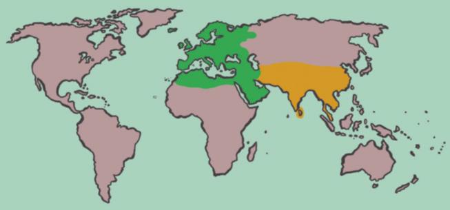 Situad en la línea del tiempo el inicio y el fin de los viajes de Marco Polo. 1000 1100 1200 1300 1400 1500 1600 1700 1800 1900 2000 Analizad este mapa del mundo.