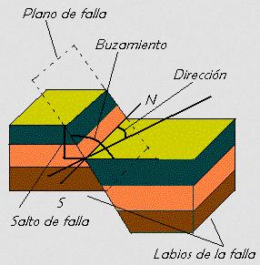 la Dirección (rumbo): ángulo entre el norte magnético y una ĺınea obtenida mediante la intersección de un estrato inclinado o