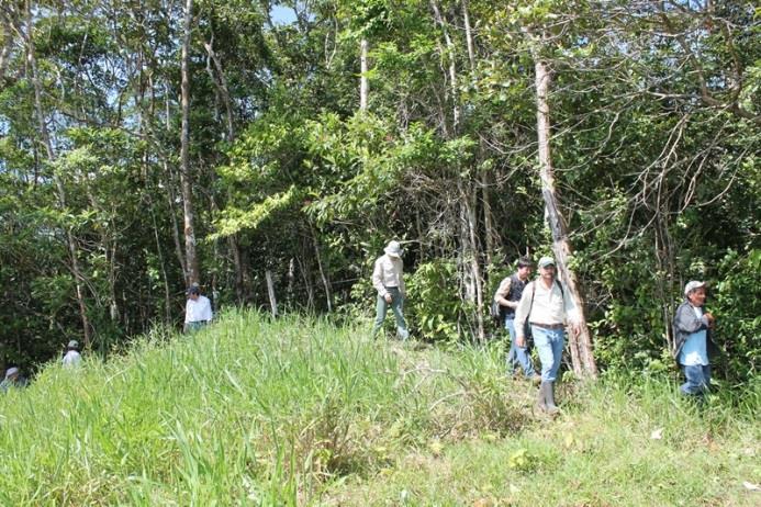 Incentivo por la protección y vigilancia del bosque BENEFICIOS: Aumento de los ingresos a la economía de las comunidades.