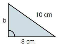 ( Ejercicio 5. Halla la medida, en metros, de la hipotenusa de un triángulo rectángulo, cuyos catetos miden 3 y 4 metros. Ejercicio 6.
