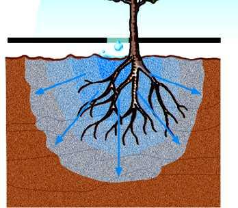 Percolación profunda Agua en el suelo = Aportes Pérdidas Lluvia Aportes Riego