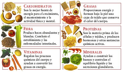 3. Tipos de dietas punto de vista nutricional 3.1.
