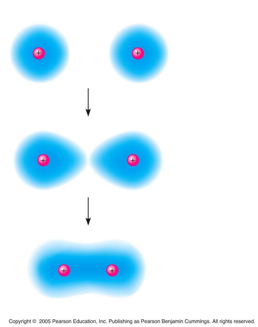 Hydrogen atoms (2 H) Els àtoms dels elements, menys els gasos nobles, per aconseguir l estabilitat interactuen amb altres àtoms compartint o