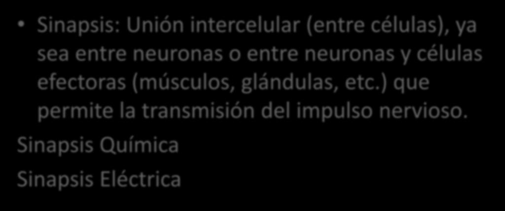 Funciones Axón terminal (Vesículas Sinápticas): el lugar donde se produce la sinapsis.