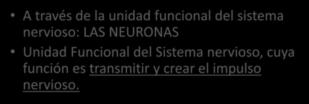 Sistema Nervioso A través de