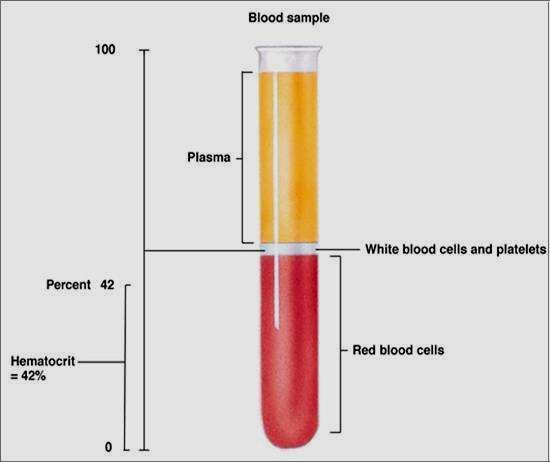 parásitos/ml de sangre 50% si hay