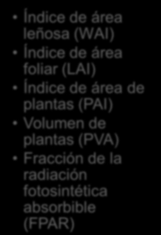 Índice de área de plantas (PAI) Volumen de plantas