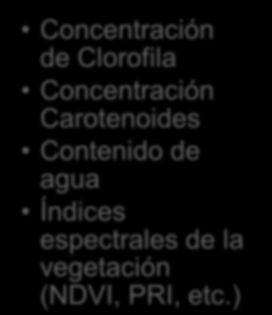 (FPAR) Concentración de Clorofila Concentración