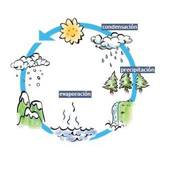 El ciclo hidrológico El sol es la fuente de energía del ciclo, calienta las aguas de los océanos, ríos, lagos y humedales.