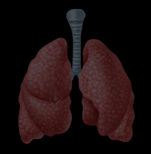 Compliance pared torácica y pulmonar (=cierre vías aéreas pequeño calibre (más en bases) =shunt
