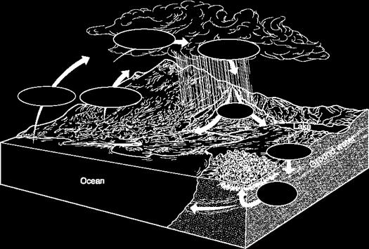 Ciclo de Agua Condensation Precipitation Evaporation Transpiration Runoff Seepage Root Uptake El ciclo del agua vincula la atmósfera, la hidrosfera y la corteza de la Tierra.