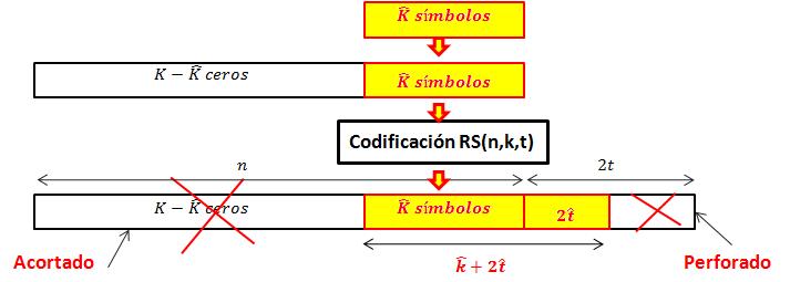En donde la tasa de codificación de la etapa de FEC es igual a: Fig. 9 Proceso de codificación, acortado y perforado.