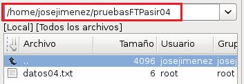 Dentro del directorio pruebasftpasir04 crea un fichero datos04.txt con cualquier contenido.