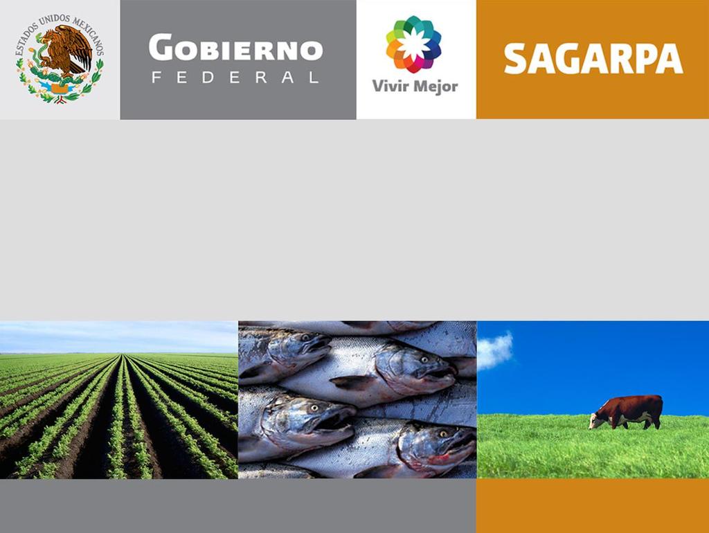 Los Nuevos Desafíos de la Agricultura y los Mercados Agroalimentarios Jornada de Conferencias