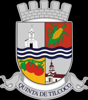 I. Municipalidad de Quinta e Tilcoco BASES CONCURSO PÚBLICO DIRECTOR/A ESTABLECIMIENTO MUNICIPAL AMPARO RAYO HORTA I.