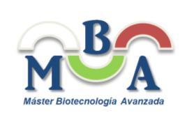 Plan de Acción Tutorial Máster en Biotecnología Avanzada TUTORA: José Manuel Leão Martins Correo electrónico: leao@uvigo.