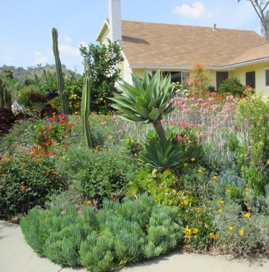 Una buena parte de ese ahorro proviene de cambiar los patios y jardines a plantas aptas para California, que usan menos agua y necesitan menos mantenimiento.