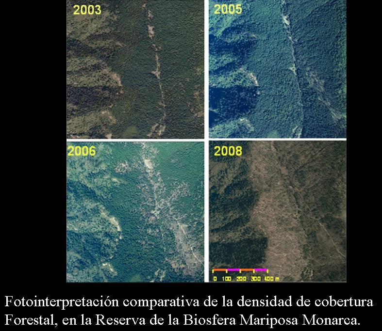 ambiental Concepto integrador de paisaje (histórico-ecológico) Primero de su tipo en América Latina