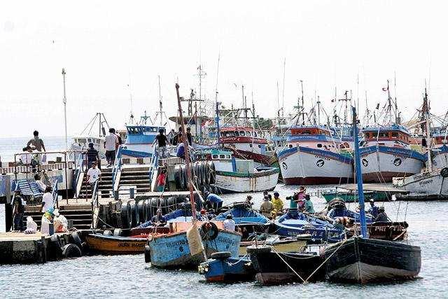 AVANCES DEL PDRC Eje 3: Desarrollo Territorial equilibrado con infraestructura adecuada, Productividad y Empleo Volumen de pesca