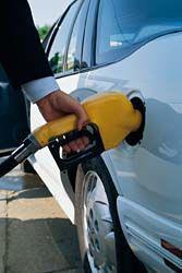 Qué gasolina vas a poner en tu auto?