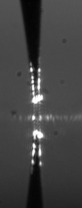 En un sistema SNOM la luz es dirigida a la superficie de la muestra bajo estudio por medio de una fibra óptica cuya punta ha sido adelgazada en el límite de nanómetros.