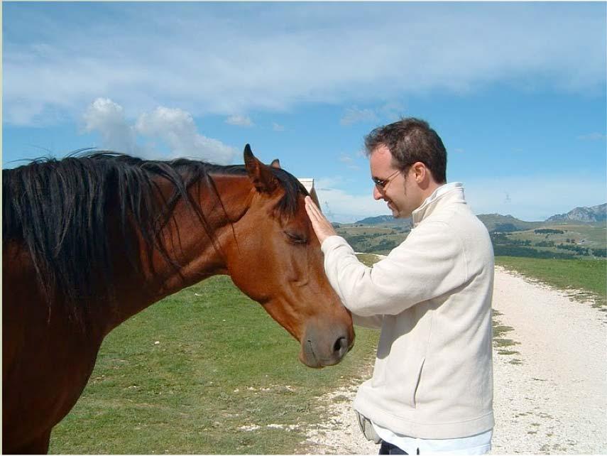 2. BINOMIO HOMBRE - CABALLO La comunicación que se establece entre el jinete y el caballo está basada en la comunicación primaria: - Esta relacion es