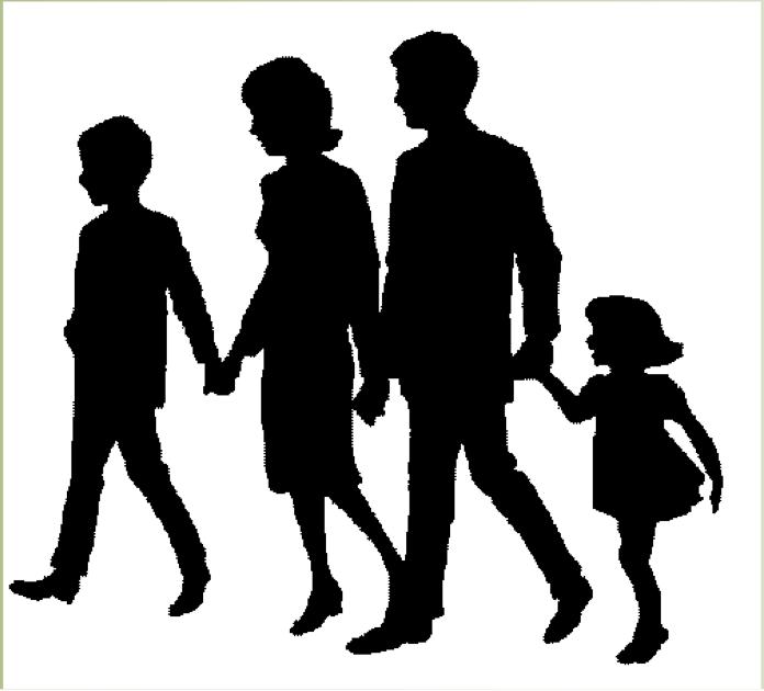 5. MODIFICACION DE LA CONDUCTA FAMILIAR Mediante la equinoterapia los padres y familiares de los pacientes adquieren un sentido de confianza hacia ellos lo que les permite apoyarlos en su