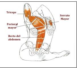 externa y abducción de la cadera Flexión de la rodilla Supinación del tobillo y el pie Pierna atrasada: Contranutación del sacro Extensión,
