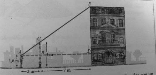 Tema 10: La semejanza y sus aplicaciones. Ejercicio 1. Para medir la altura de un edificio, Miguel se sitúa de modo que ve alineados la parte alta de la verja y del edificio.