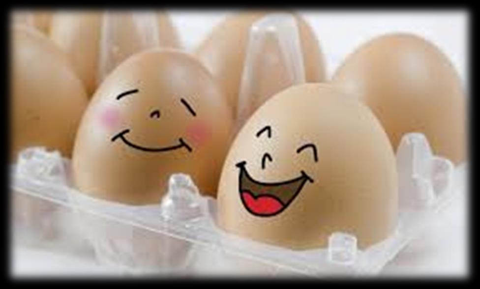 Mi amigo el huevo: Descripción y propiedades: Es uno de los alimentos más completos que han sido demonizados una y