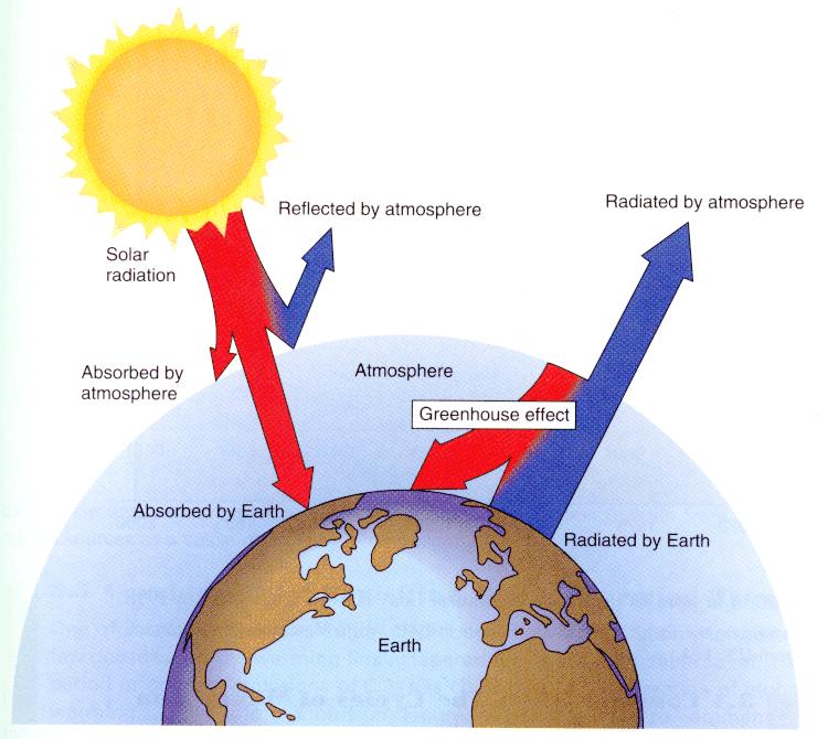 EFECTO INVERNADERO GASES DE INVERNADERO Radiación Solar Reflejada por la atmósfera Reflejada por la atmósfera - Vapor de agua - Bióxido de Carbono - Metano - Óxido Nitroso - Clorofluorocarbonos