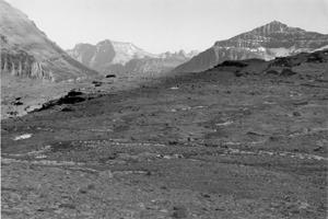 Glacier National Park, Montana, Julio 1932