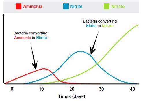 mg/l y nitratos en aumento Amoniaco Nitrito Nitrato
