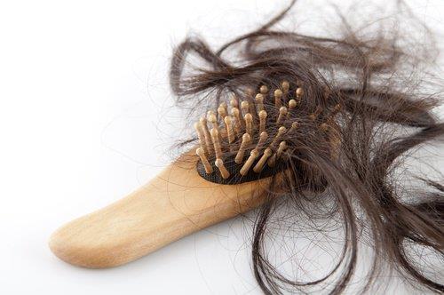 EFLUVIO TELÓGENO Caída brusca de un número elevado de cabellos Intensificación de un proceso fisiológico Se produce cuando muchos cabellos entran en la fase telógena simultáneamente.