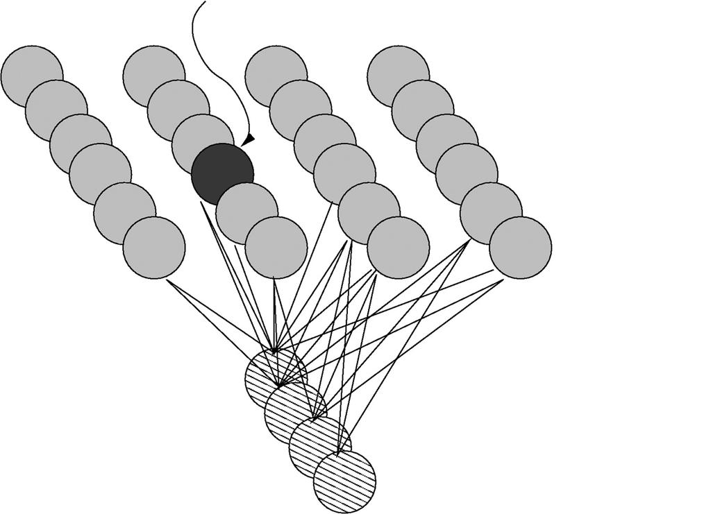 Estructura de la red de Kohonen Neurona Ganadora Matriz de neuronas de salida r vecindad de la