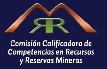 Rol del Especialista de Procesos en Proyectos de Inversion Minero Metalurgicos Fernando