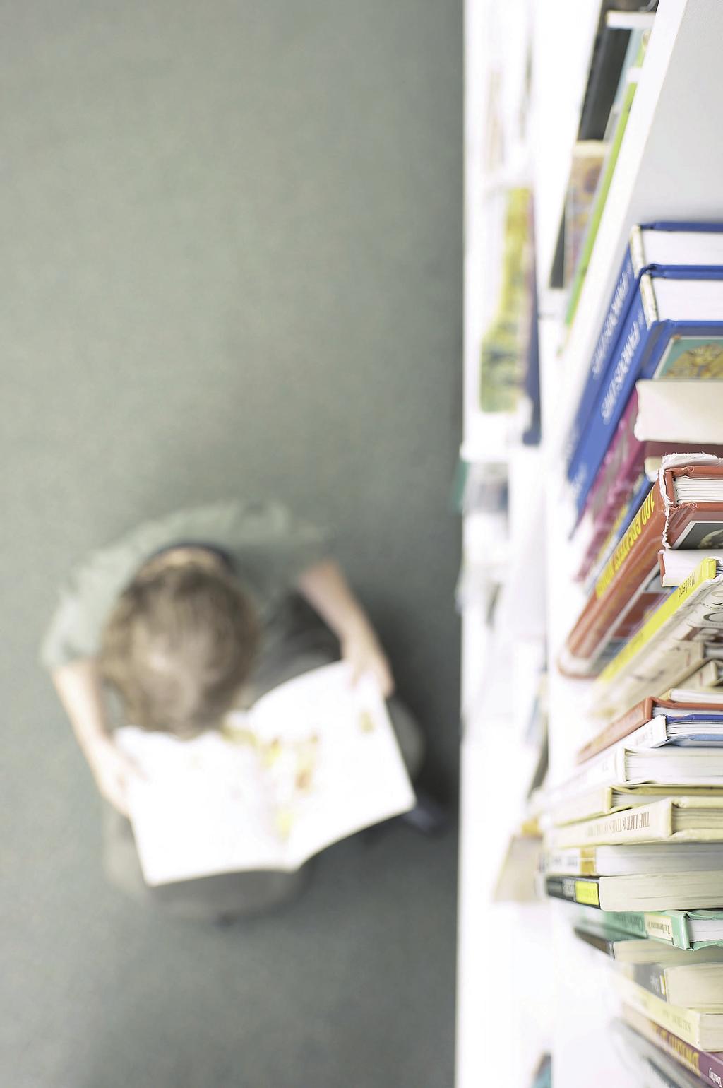 35.- Fomento de la lectura y Dinamización de bibliotecas escolares y uso del programa ABIES Programa ABIES: gestión de Animación a la lectura y fomento de las bibliotecas escolares 99 La biblioteca