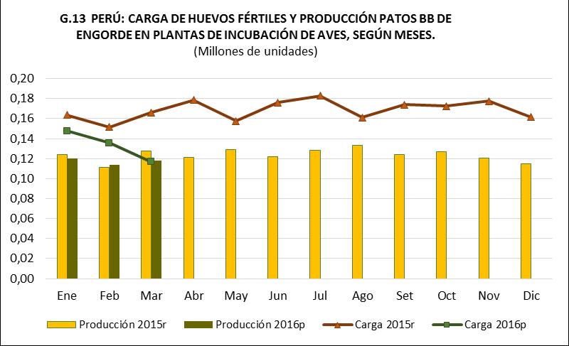 De igual forma en este mes, la producción de pavos Bb de engorde, mostró un crecimiento de 16,2%; con relación al mismo mes del año anterior, tal como se muestra en el gráfico G.12 y cuadro C.