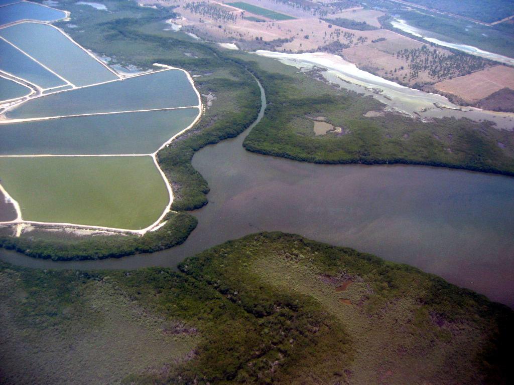 Por qué estudiar a los manglares de México? Tabla 1. Extensión de los manglares de México, Modificado FAO, 2003. Problemática Granja camaronícola, Sur de Sinaloa (2004).