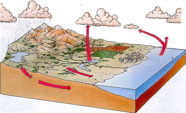 CICLO HIDROLÓGICO Condensación Precipitación Evaporación y evapotranspiración Evaporación Descarga de