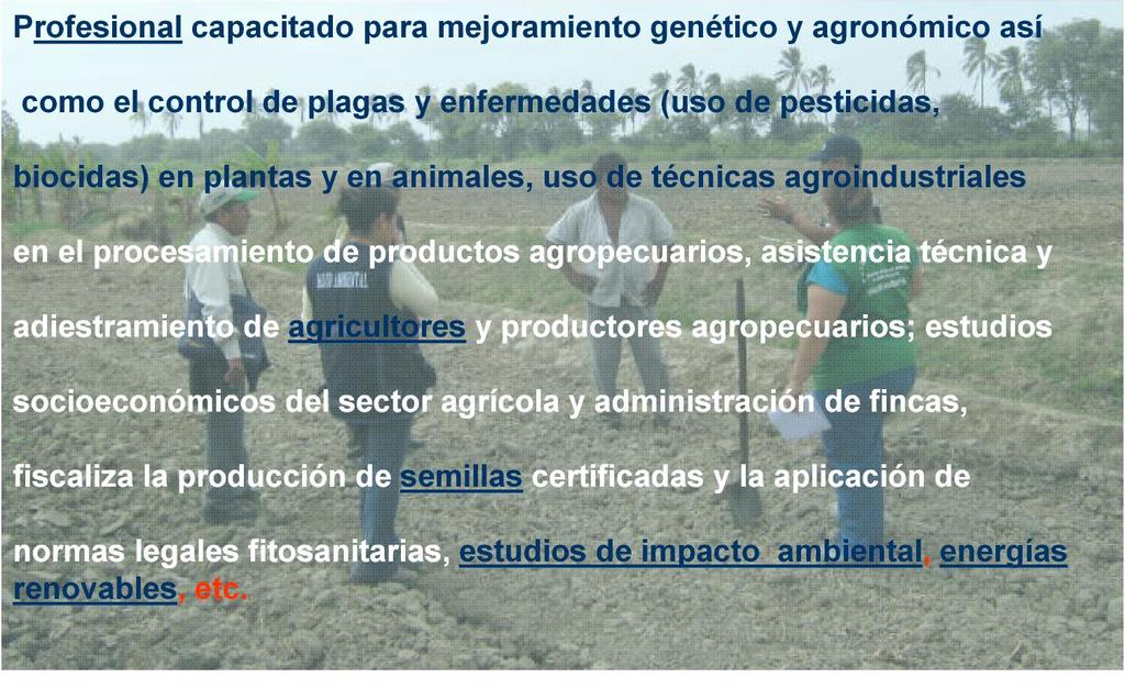 Ingeniero agrónomo : generador de cambios Profesional capacitado para mejoramiento genético y agronómico así como el control de plagas y enfermedades (uso de pesticidas, biocidas) en plantas y en